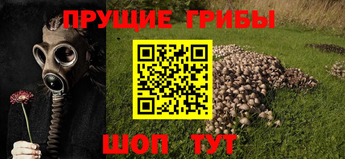 Качканар  Галлюциногенные грибы мухоморы  Галлюциногенные грибы MAGIC MUSHROOMS  Вход с VPN 