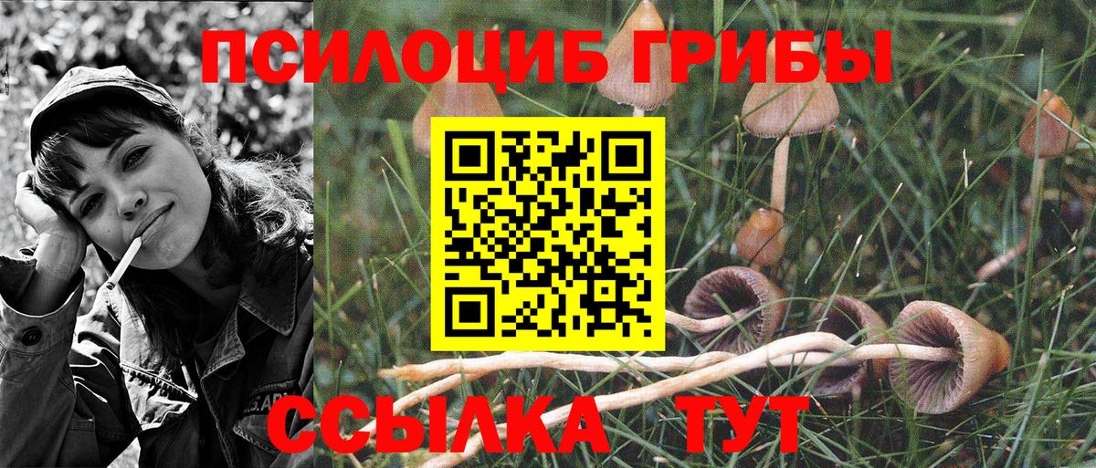 Галлюциногенные грибы MAGIC MUSHROOMS Качканар